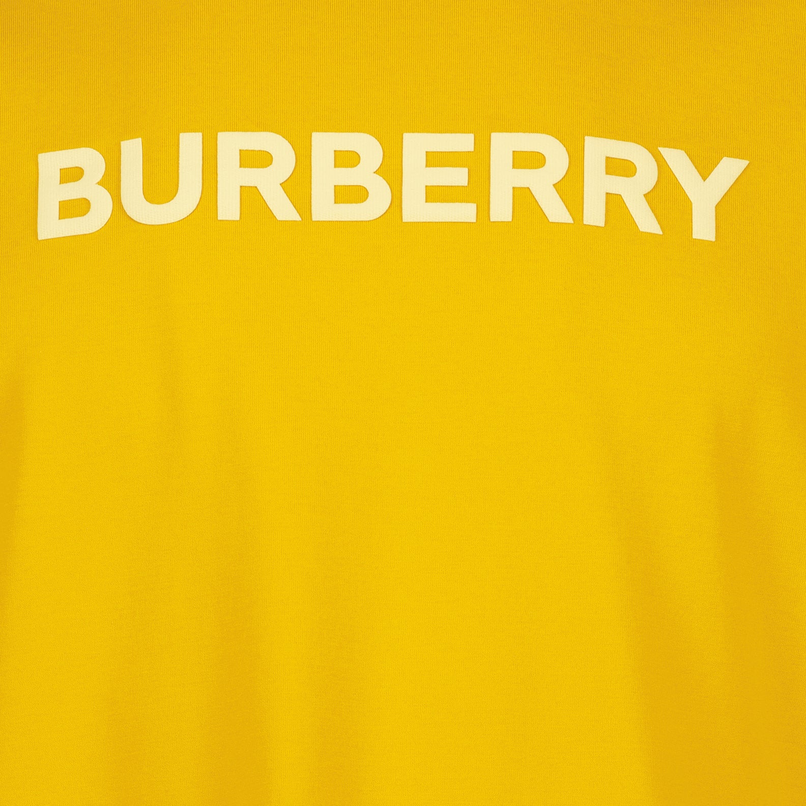 T-shirts T-shirt Harriston Burberry Orange Homme