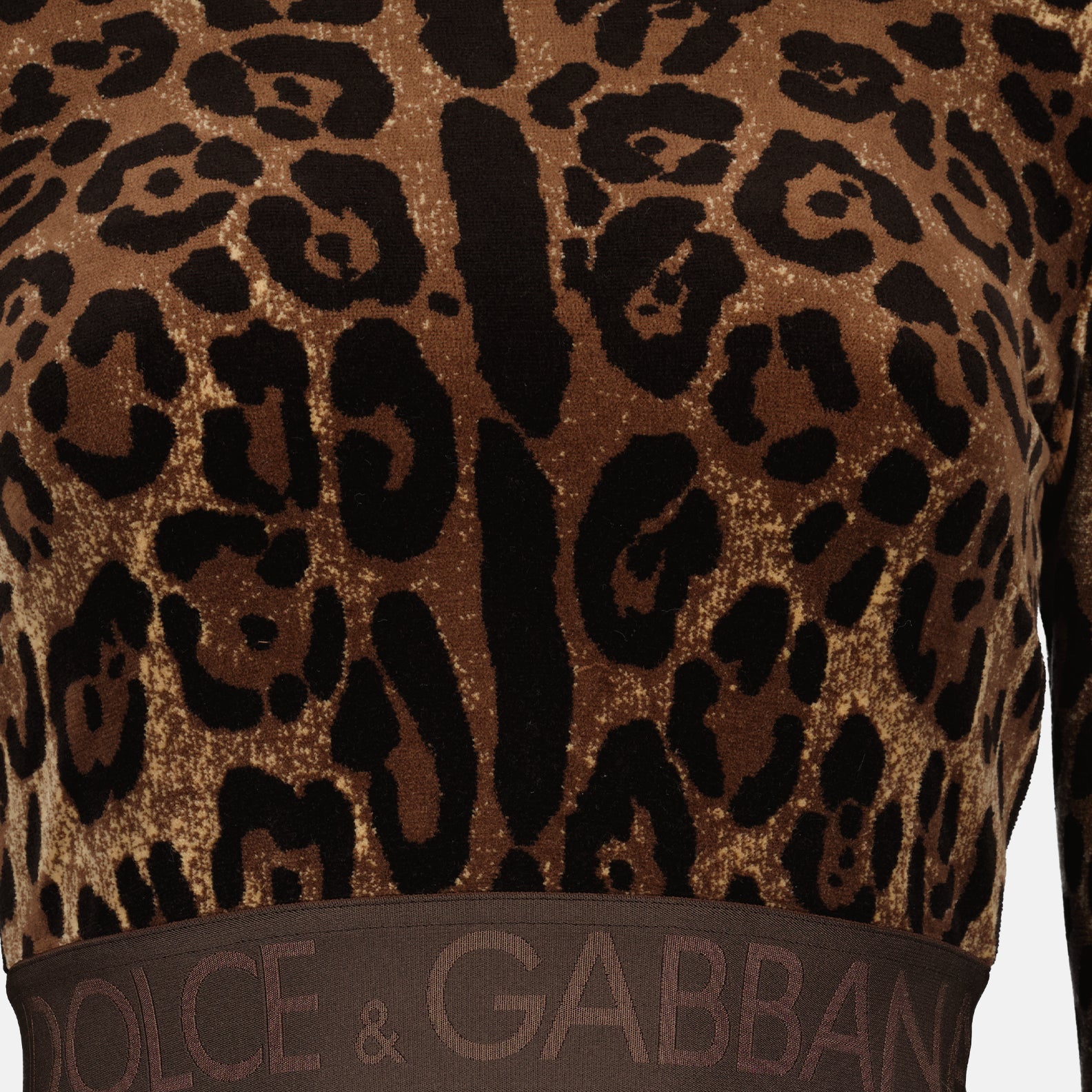 Tops Leopard crop top Dolce & Gabbana Brown Women