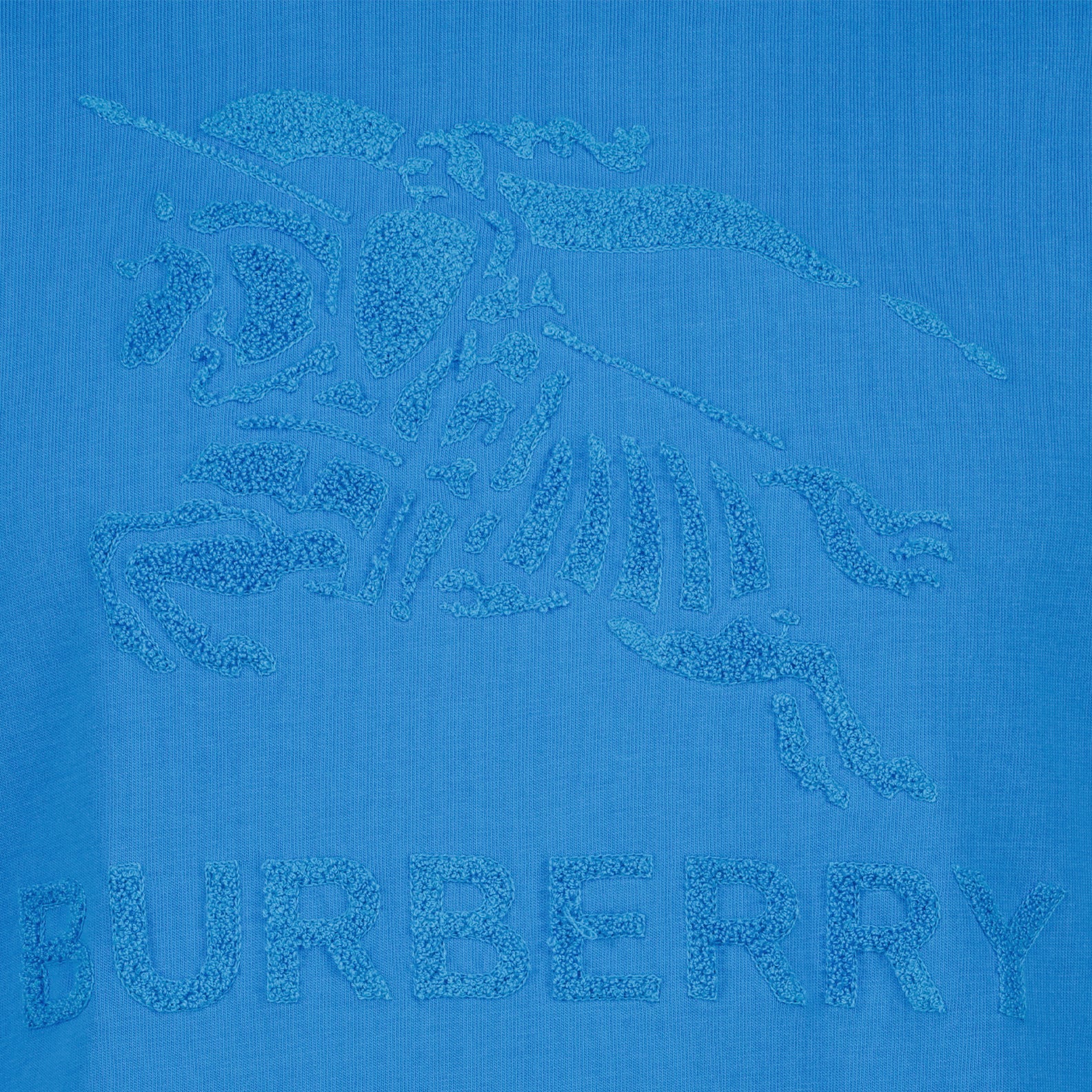 T-Shirts T-shirt Cavalier Burberry Blau Homme