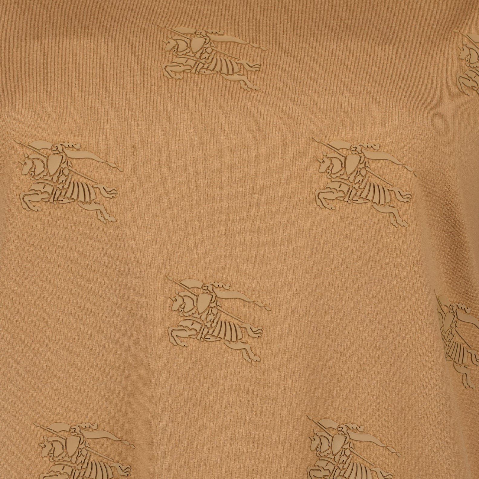 Tシャツ ライダーTシャツ Burberry 茶色 女性