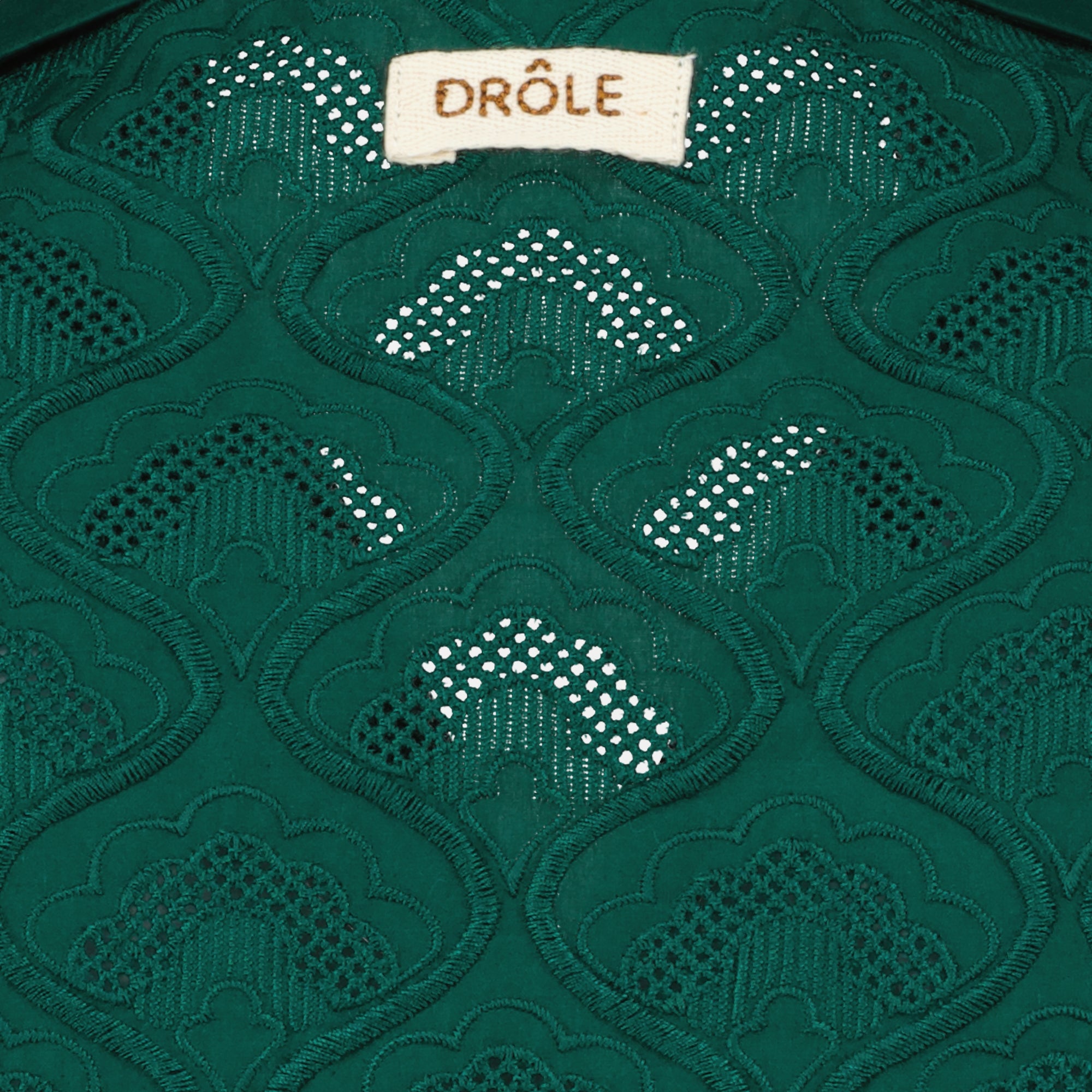 Chemises Chemise brodée tapisserie Drole De Monsieur Vert Homme