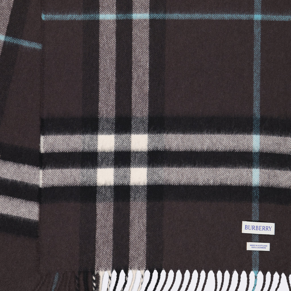 Scarves and gloves Cashmere scarf Burberry Brown Unisex