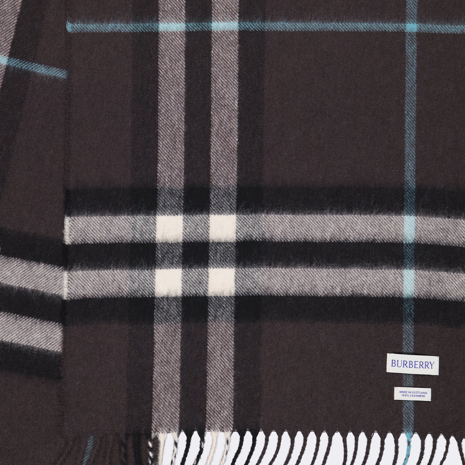 Scarves and gloves Cashmere scarf Burberry Brown Unisex