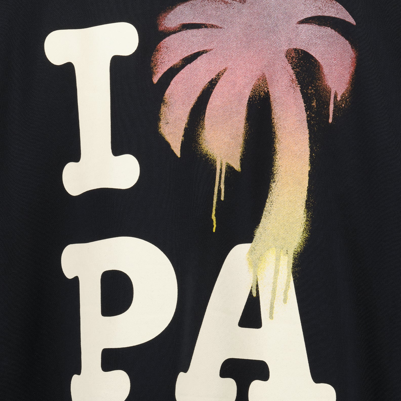 Sweatshirts Sweat à capuche I love PA Palm Angels Noir Homme