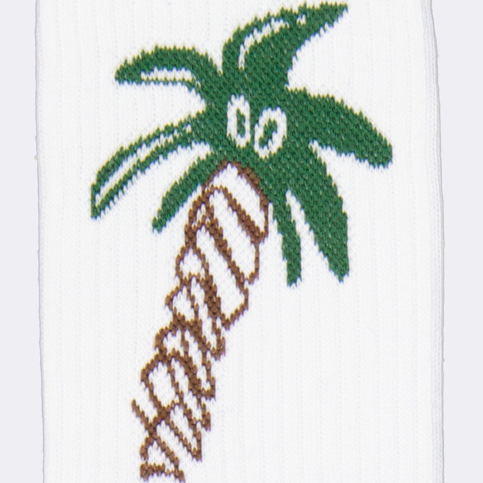 Ropa interior y homewear Chaussettes Sketchy Palm Angels Blanco Homme