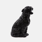 Lifestyle Grand Rokko Cheetah Versace Schwarz Unisex