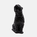 Lifestyle Grand Rokko Cheetah Versace Schwarz Unisex