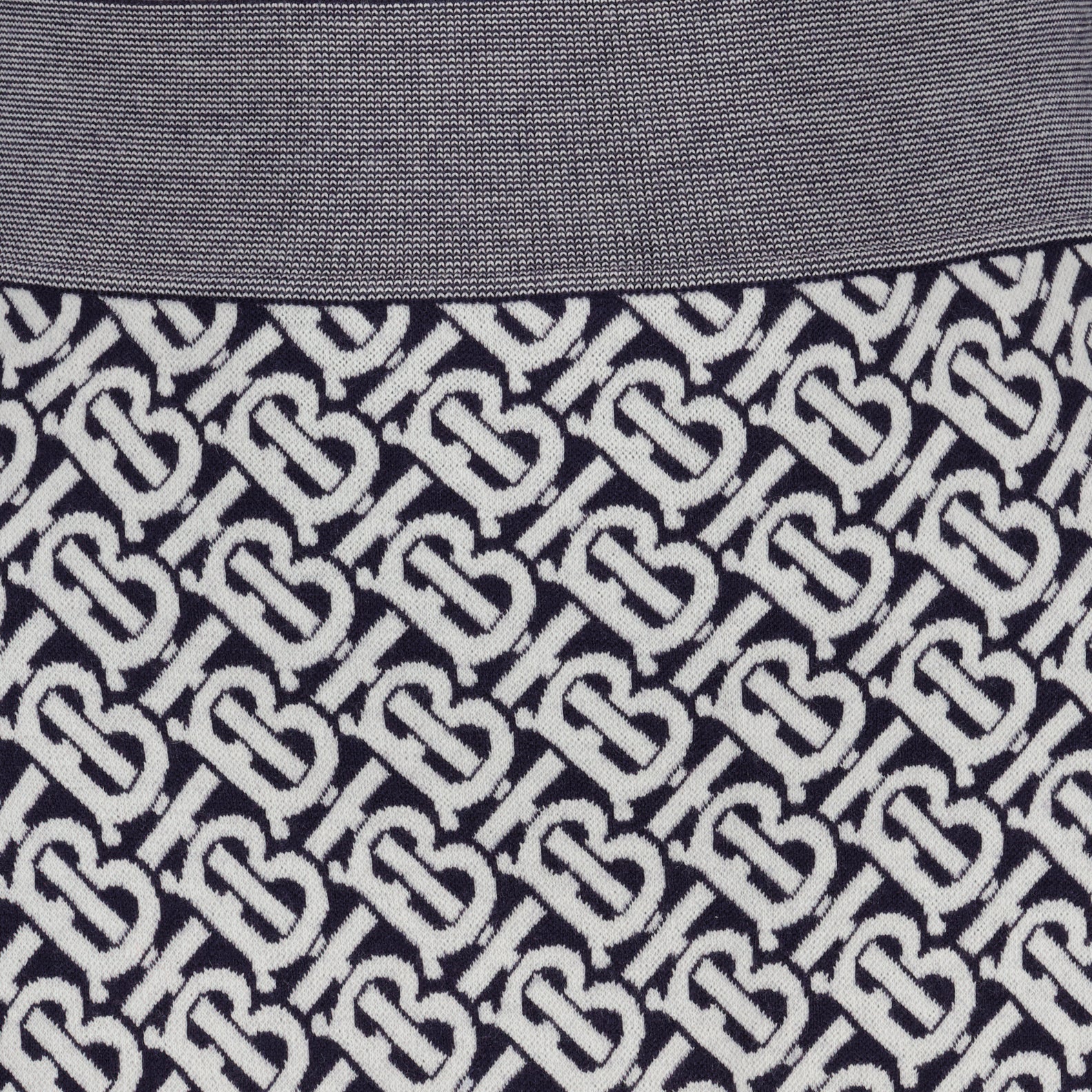 Röcke Jupe TB Burberry Blau Femme