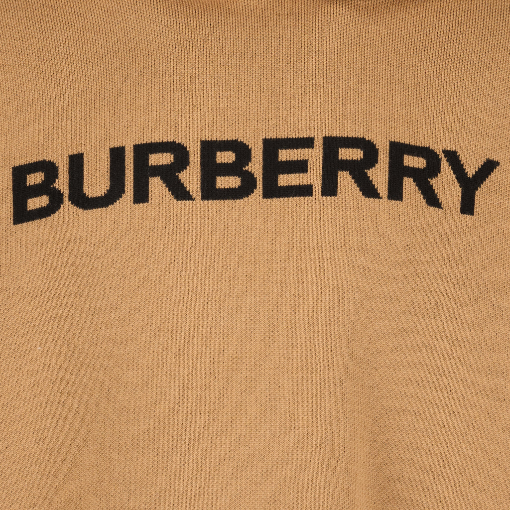 Sweatshirts Sweat à capuche en laine Burberry Marron Homme