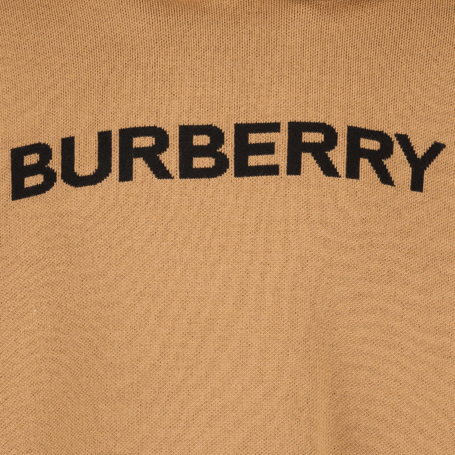 Sweatshirts Sweat à capuche en laine Burberry Marron Homme