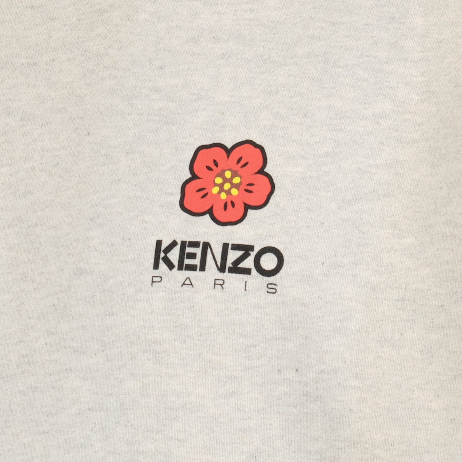Sweatshirts Sweat à capuche Boke Flower Kenzo Gris Homme