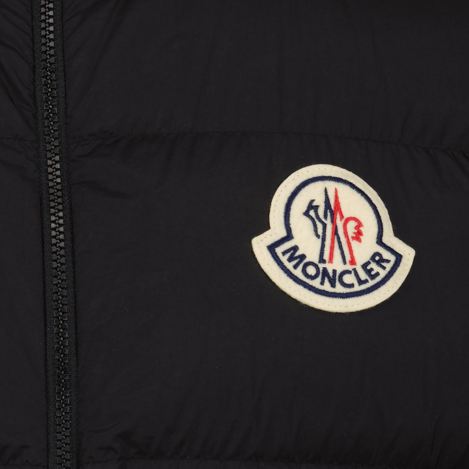 Jackets Almaz sleeveless down jacket Moncler Black Homme