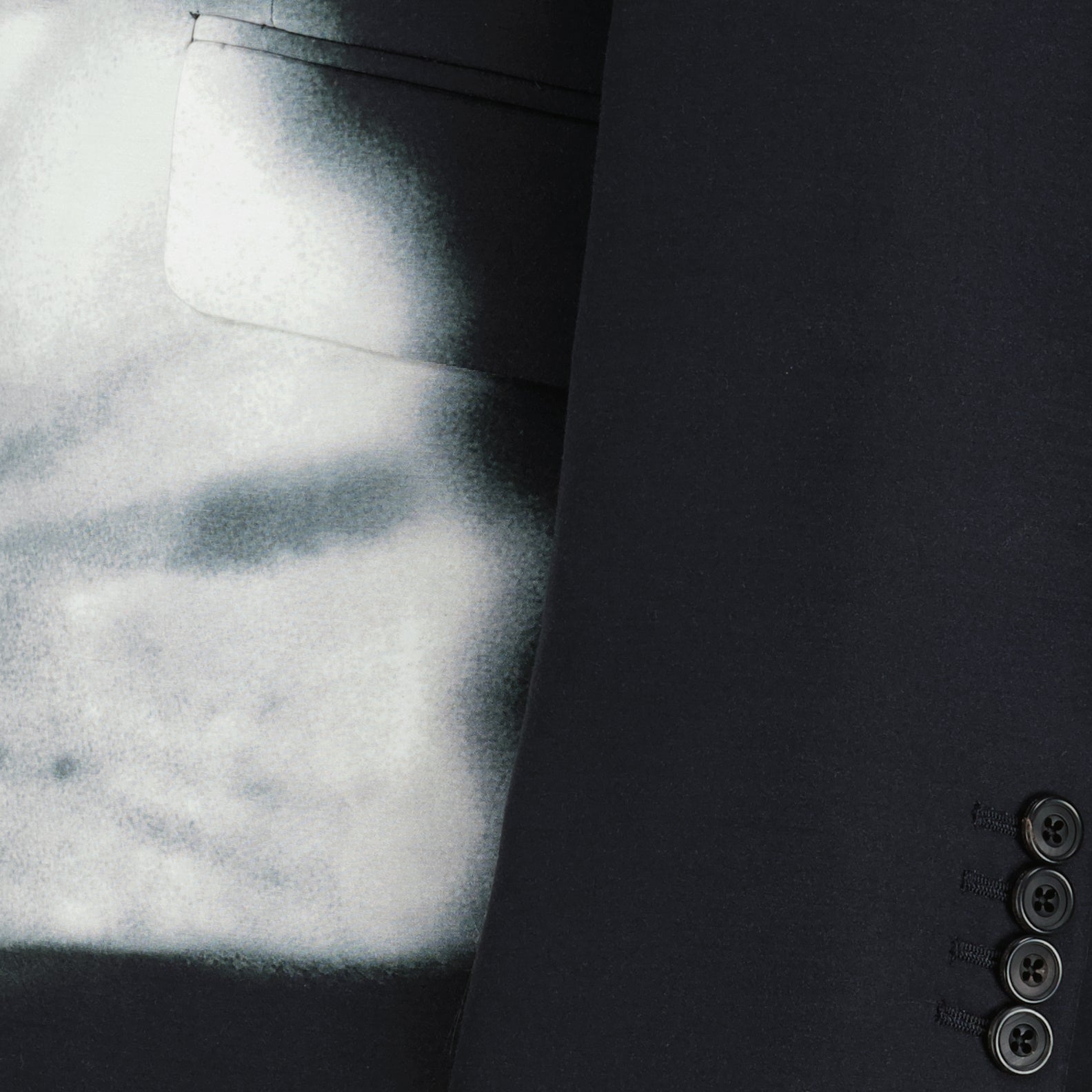 Vestes Veste Luminous Flower Alexander McQueen Noir Homme