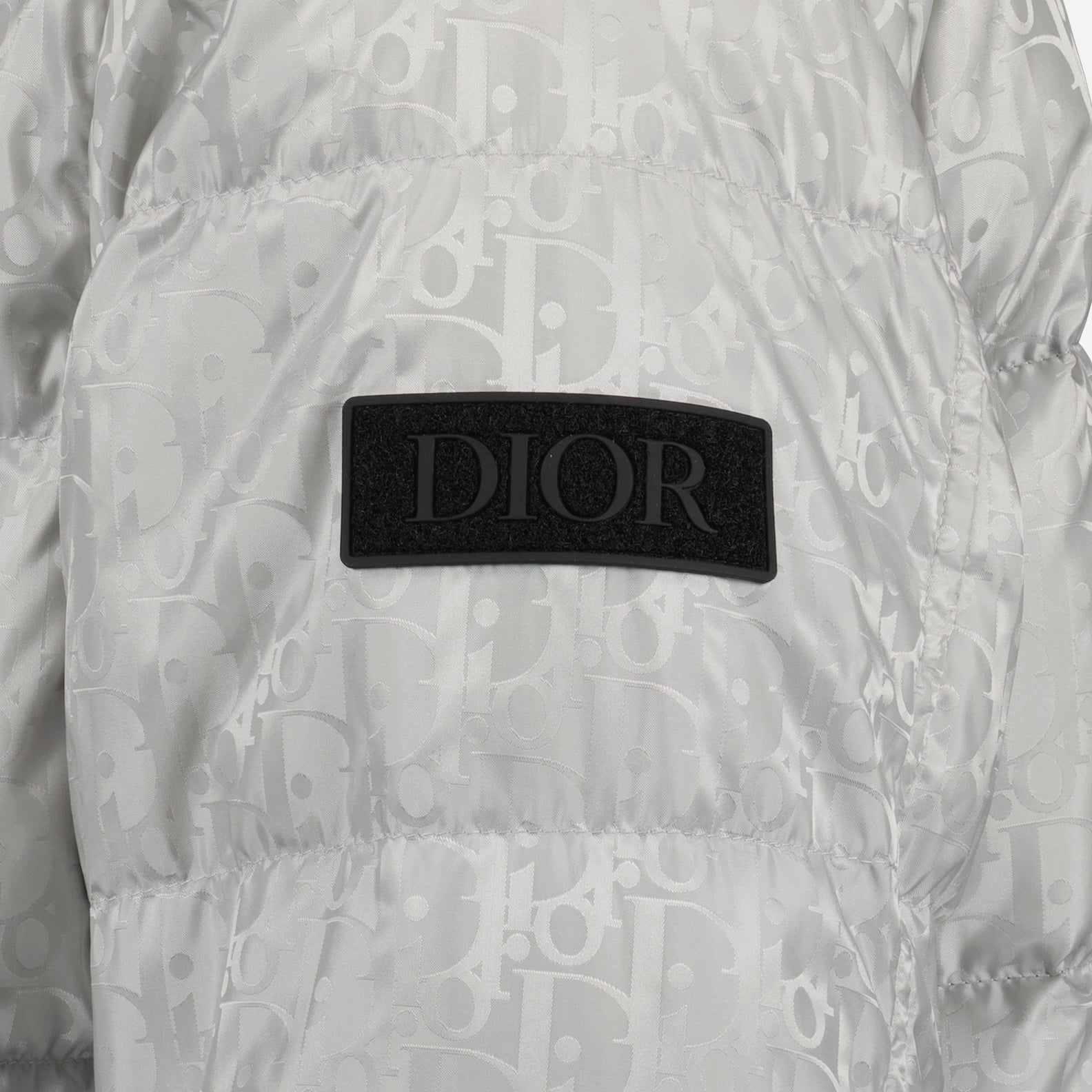 Coats Oblique Down Jacket Dior Gray Man