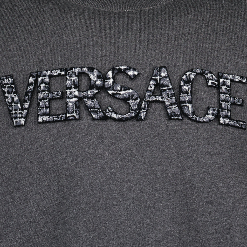 Sweatshirts Sweatshirt à logo Coccodrilo Versace Gris Homme