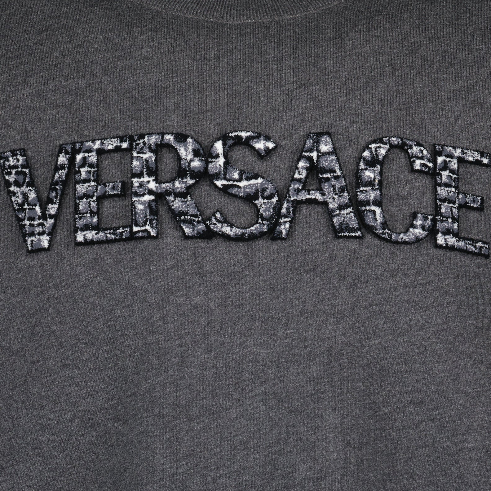 Sweatshirts Sweatshirt à logo Coccodrilo Versace Gris Homme