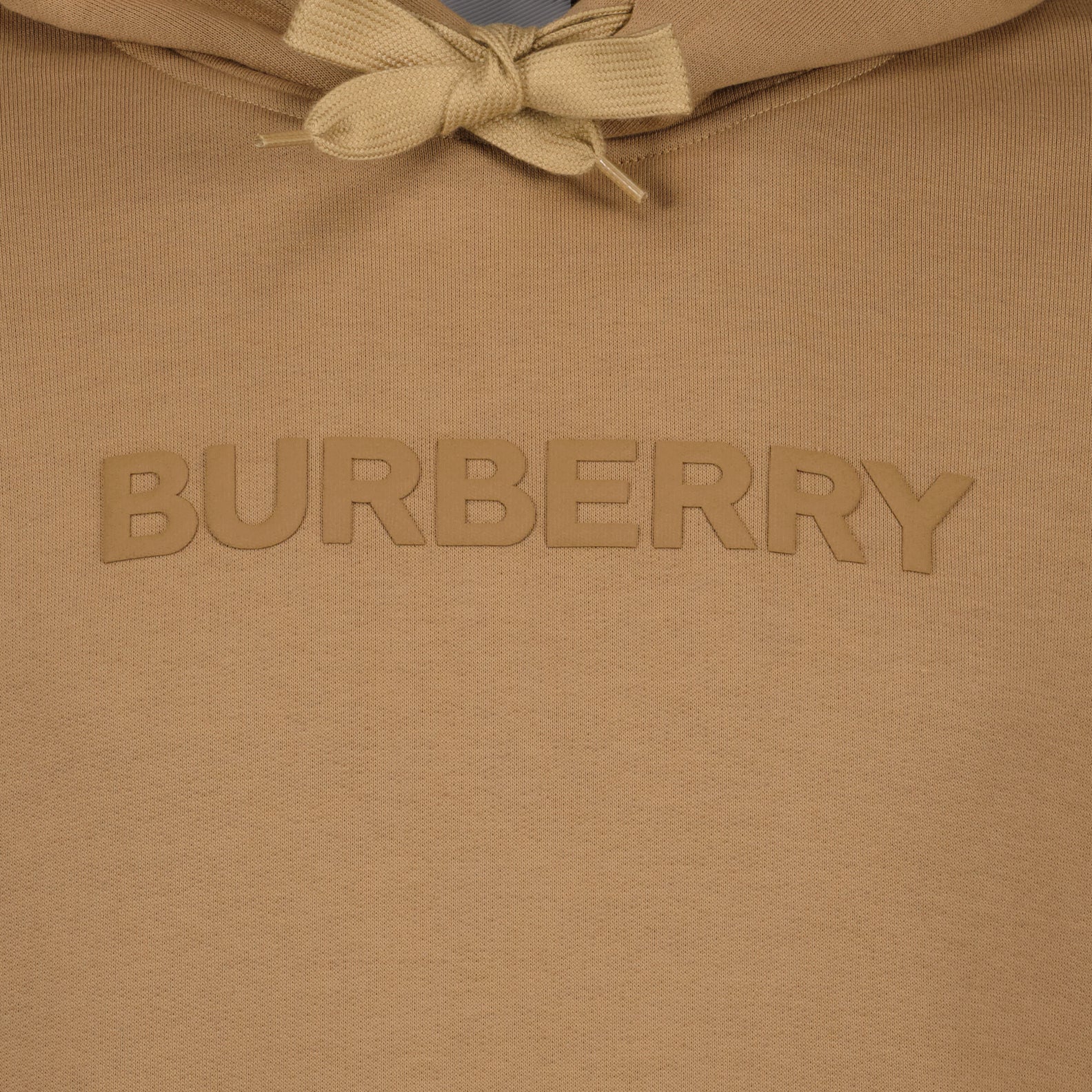 Sweatshirts Sweat à capuche à logo Burberry Marron Homme