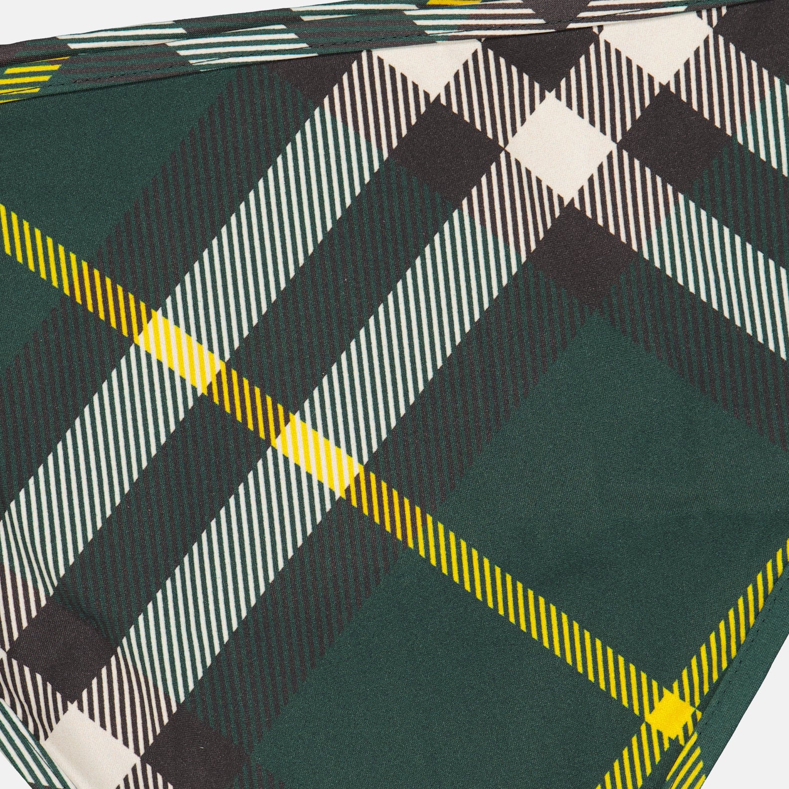 Beachwear Bas de bikini à carreaux Burberry Vert Femme