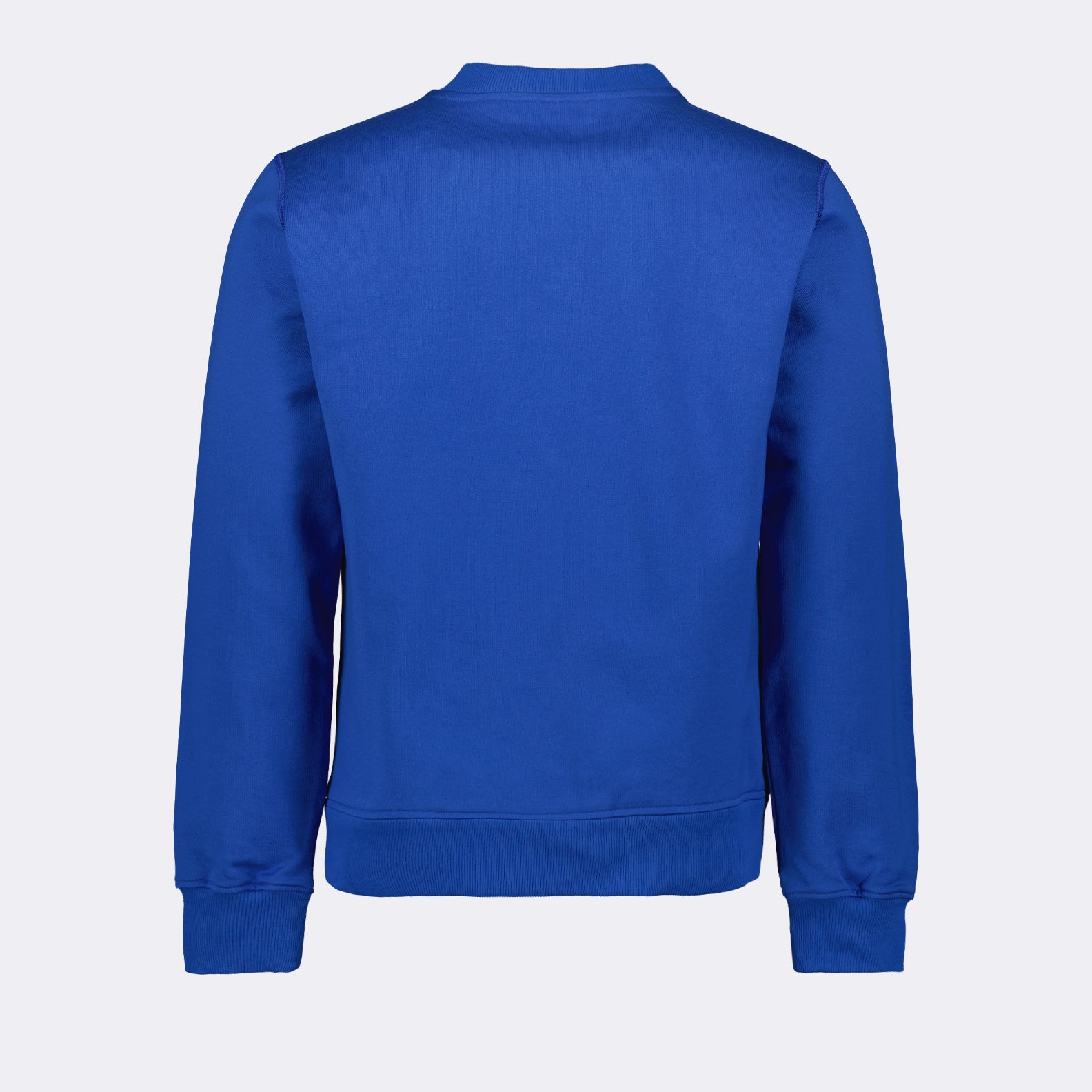 Sweatshirts Sweatshirt à logo plaque Dolce & Gabbana Bleu Homme
