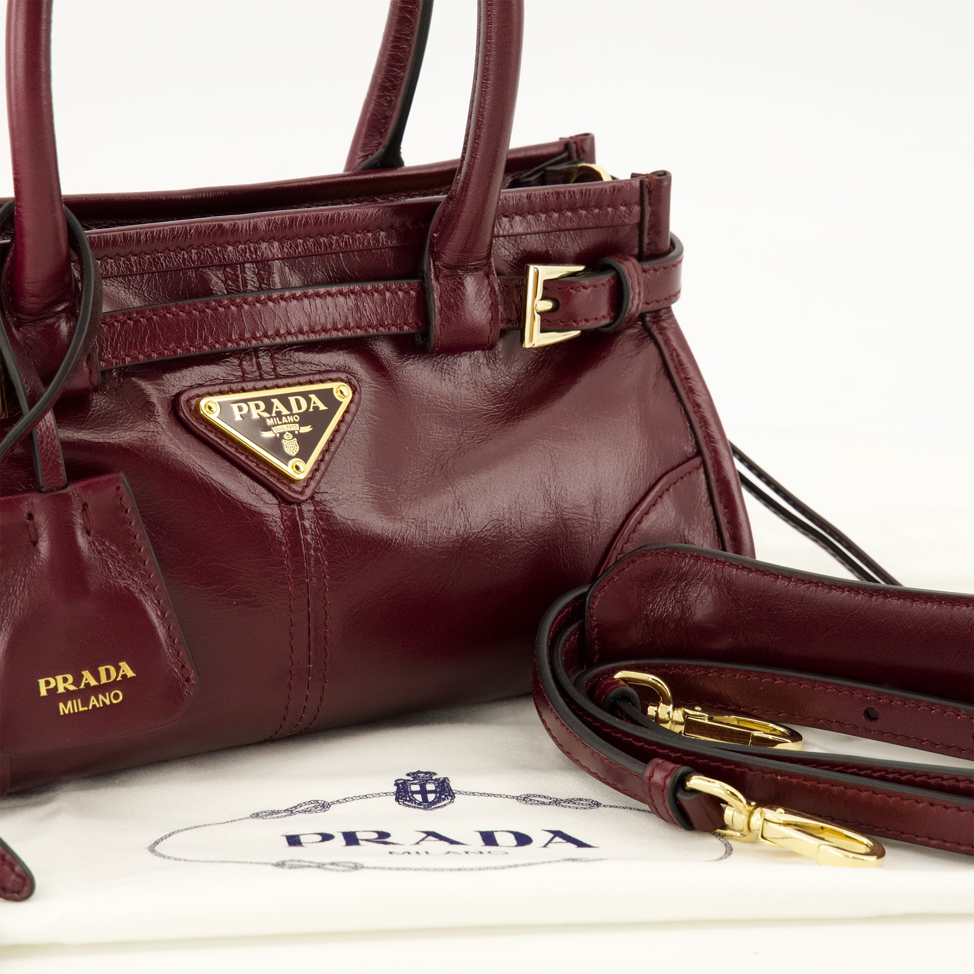 Sacs à main et épaule Mini Borsa Bonnie in Pelle Bordeaux Prada Bordeaux Femme