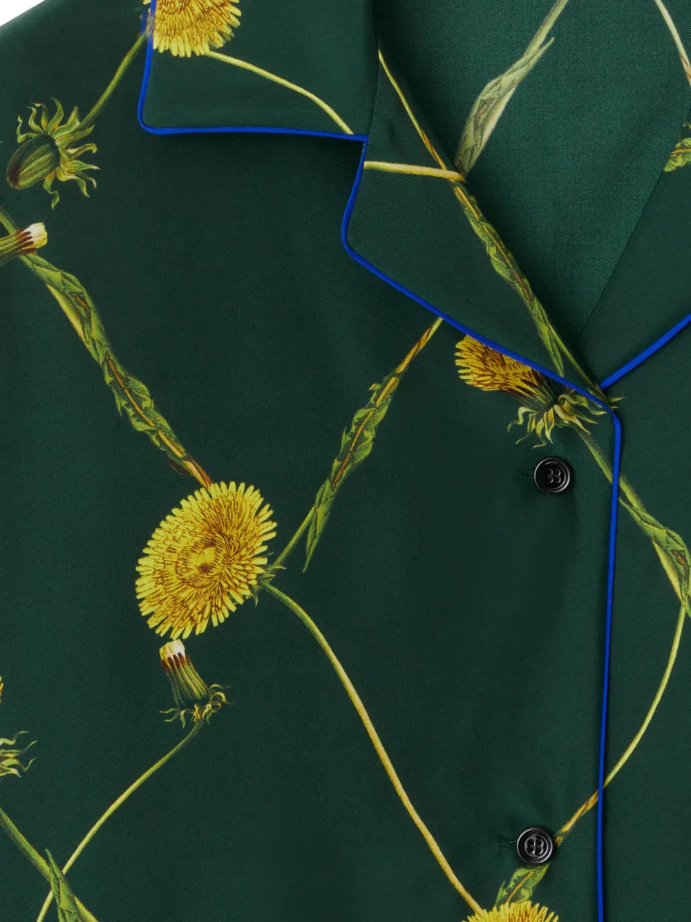 Shirts Dandelion Silk Shirt Burberry Green Women