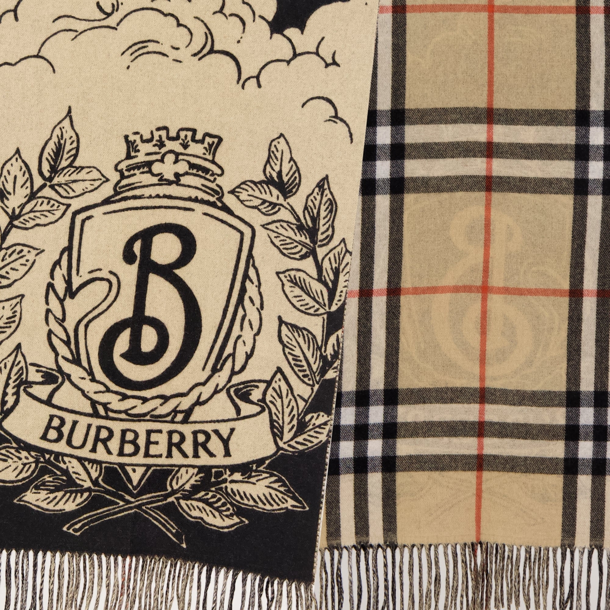 Écharpes, foulards et gants Sciarpa in Cashmere Reversibile Stormy Knight Burberry Beige Femme