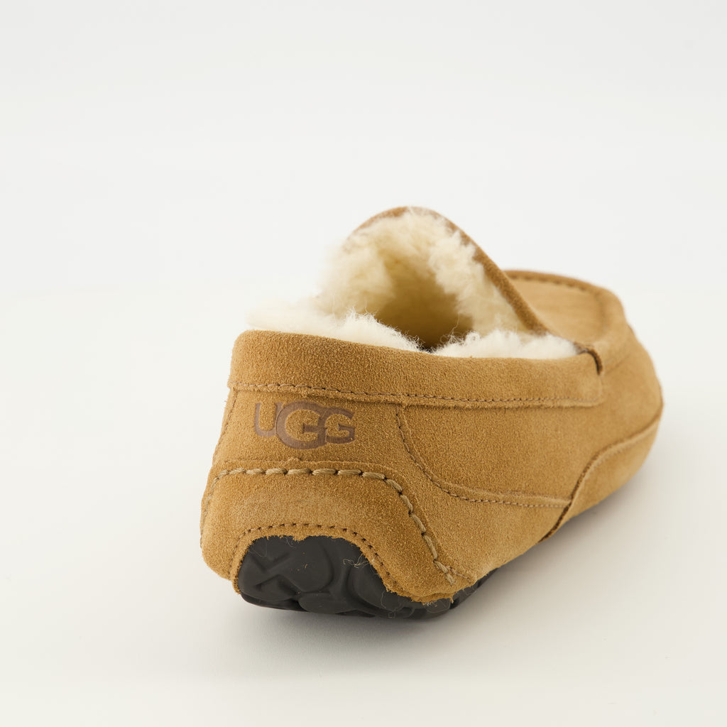 Immagine del ciabattino Ascot marrone del marchio Ugg per Uomo - Stagione Primavera-Estate 2026 - Vista posteriore