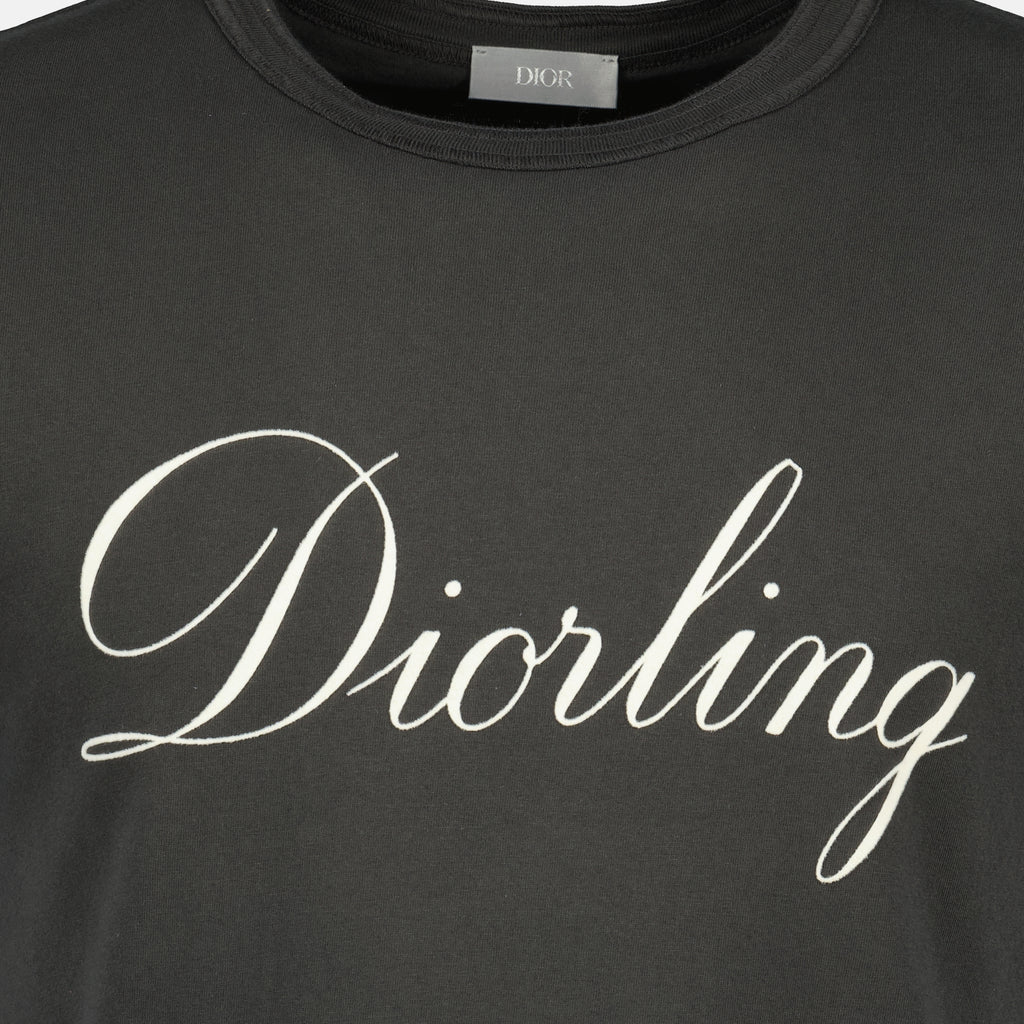Immagine della T-shirt Diorling grigia del marchio Dior per Uomo - Stagione Autunno-Inverno 2025 - Vista Dettagliata_1