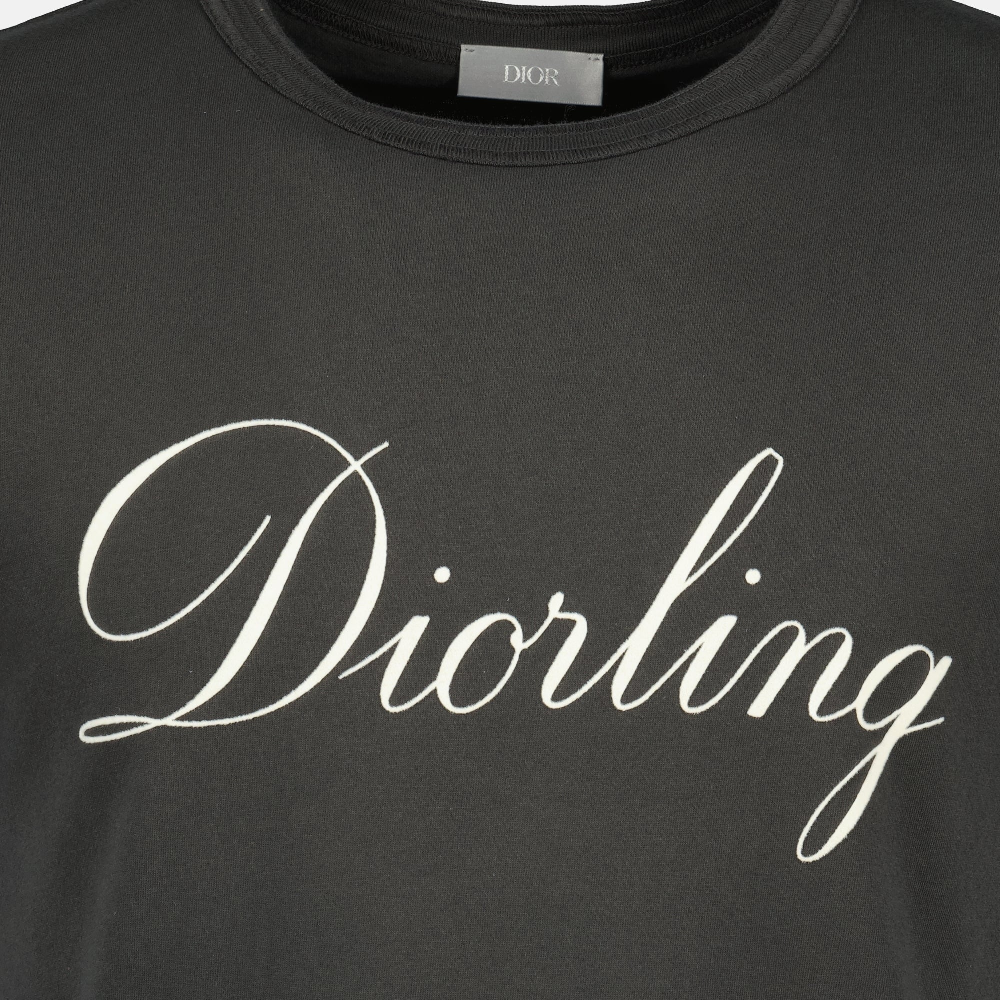 Immagine della T-shirt Diorling grigia del marchio Dior per Uomo - Stagione Autunno-Inverno 2025 - Vista Dettagliata_1