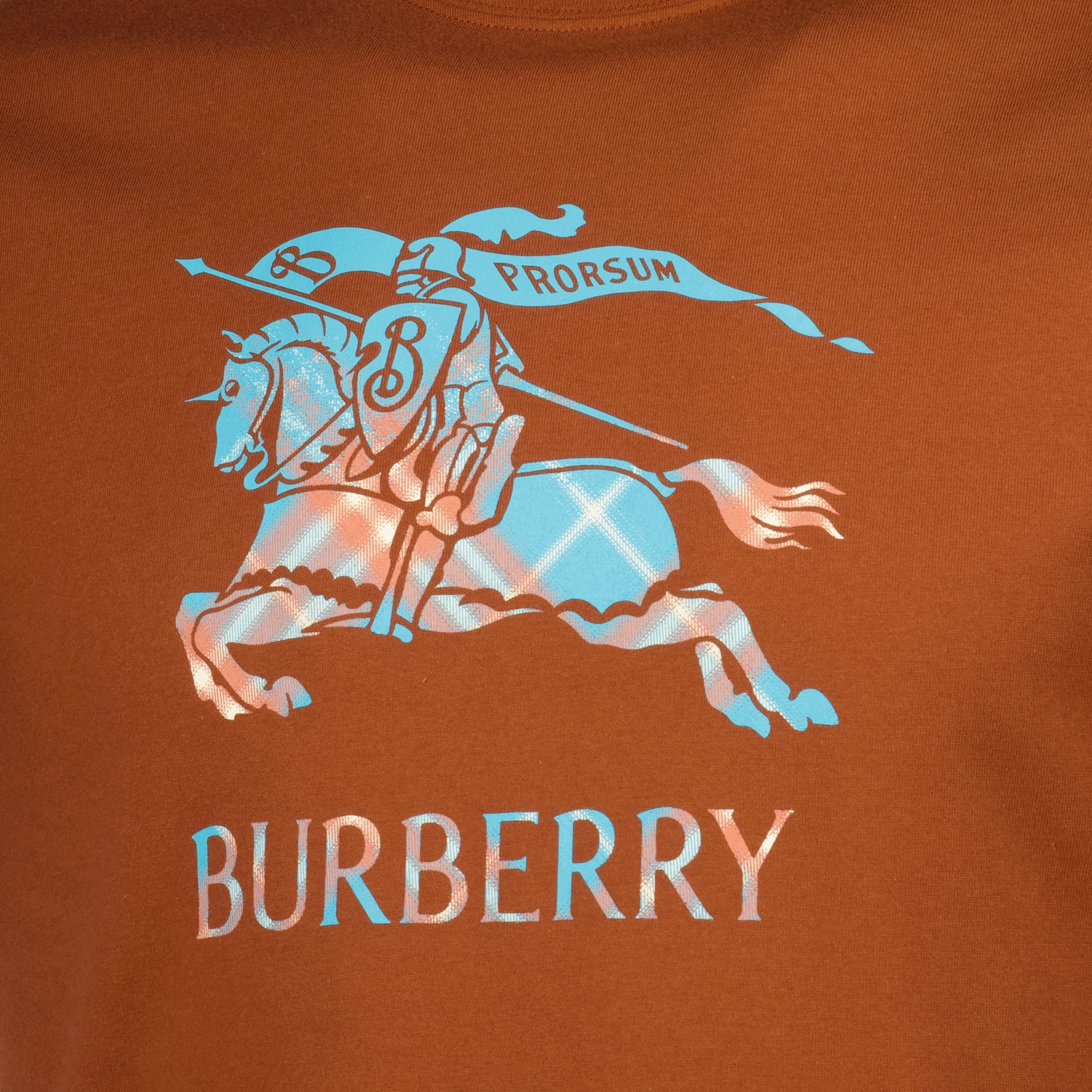 Bild des braunen EKD T-Shirts der Marke Burberry für Herren - Frühling-Sommer 2026 - Detailansicht_2