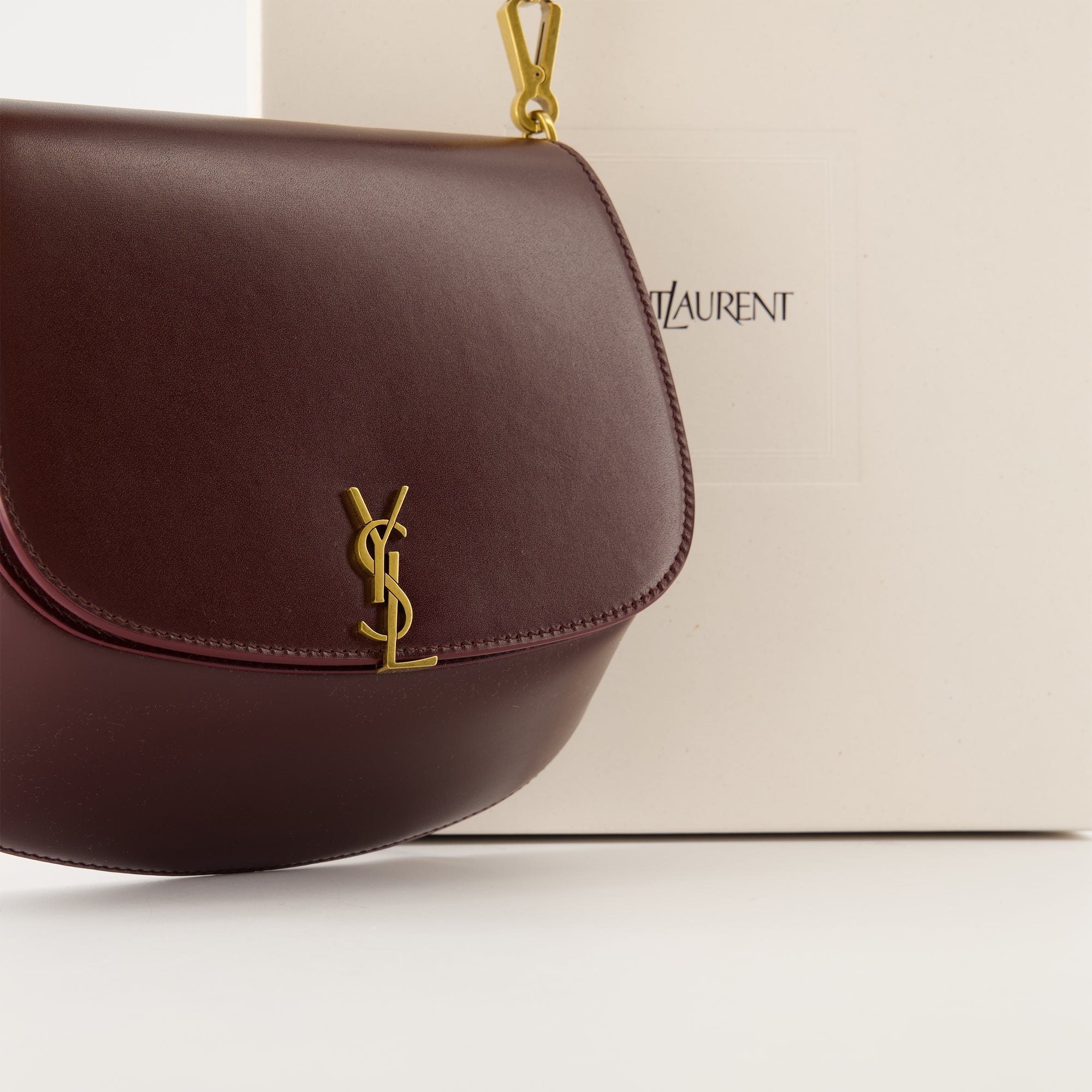 Immagine della Mini borsa Voltaire del marchio Saint Laurent per Donna - Stagione Autunno-Inverno 2025 - Vista Dettagliata_2