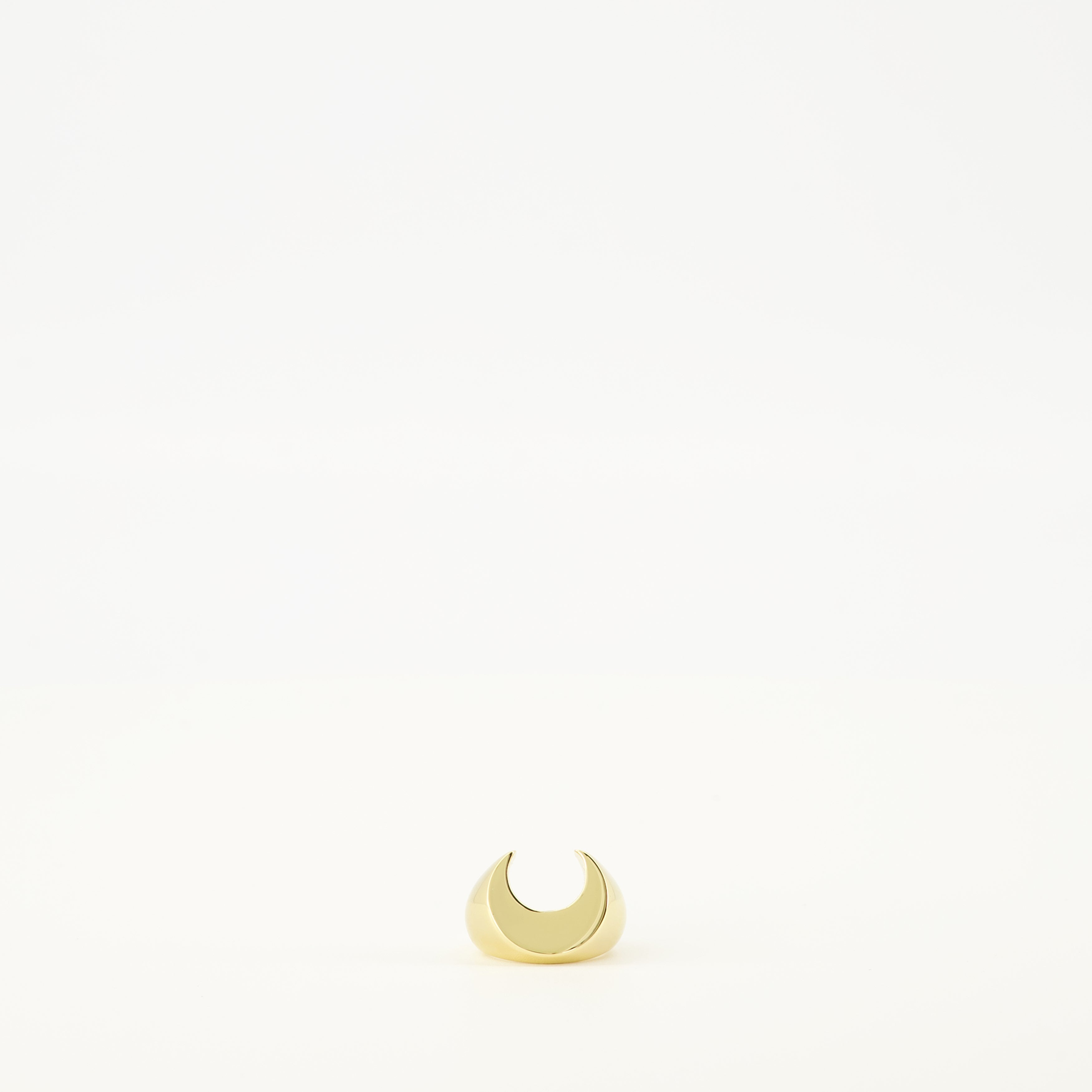 Bild des Moon Rings aus Messing der Marke Marine Serre für Frauen - Herbst/Winter 2025 - Vorderansicht