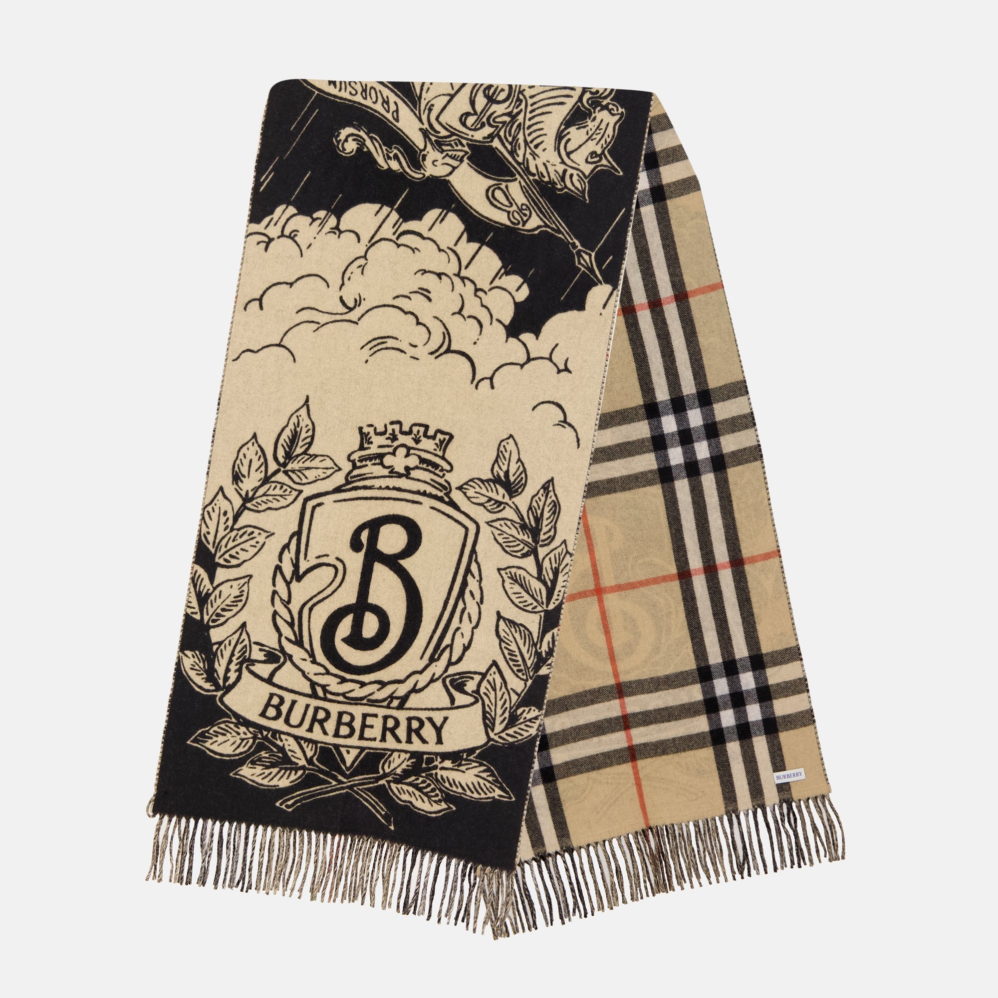 Image of the Stormy Knight scarf by Burberry for Unisex - Fall-Winter 2025 - Front View