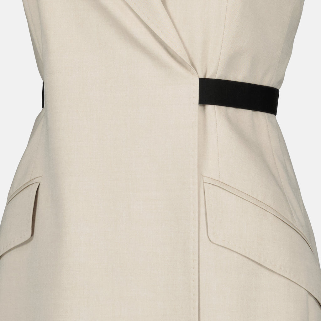 Immagine del vestito beige in tela di cotone e lana del marchio Max Mara per Donna - Collezione Primavera-Estate 2026 - Vista Dettagliata_1