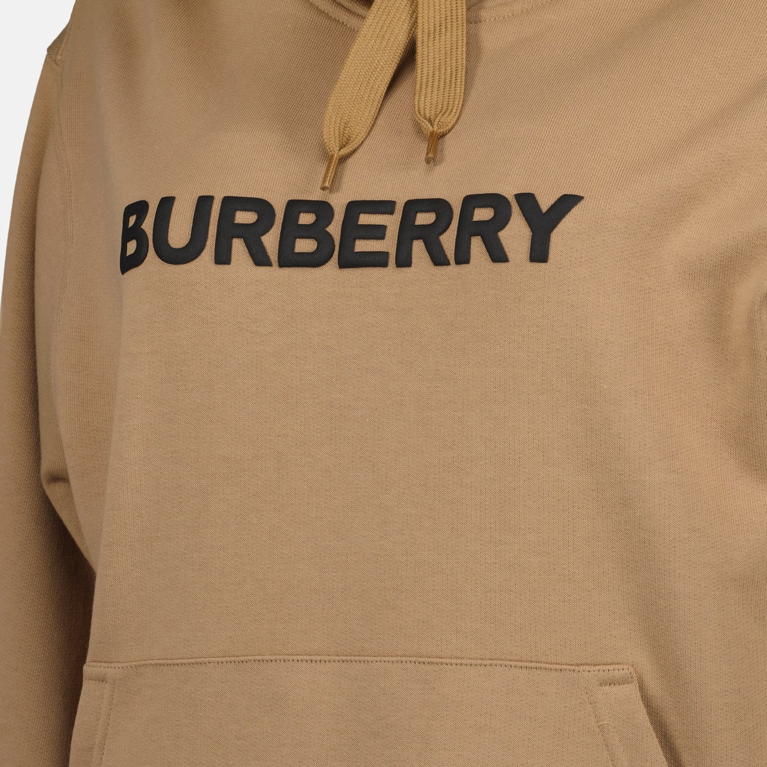 Sweatshirts Sweat à capuche à logo Burberry Marron Femme