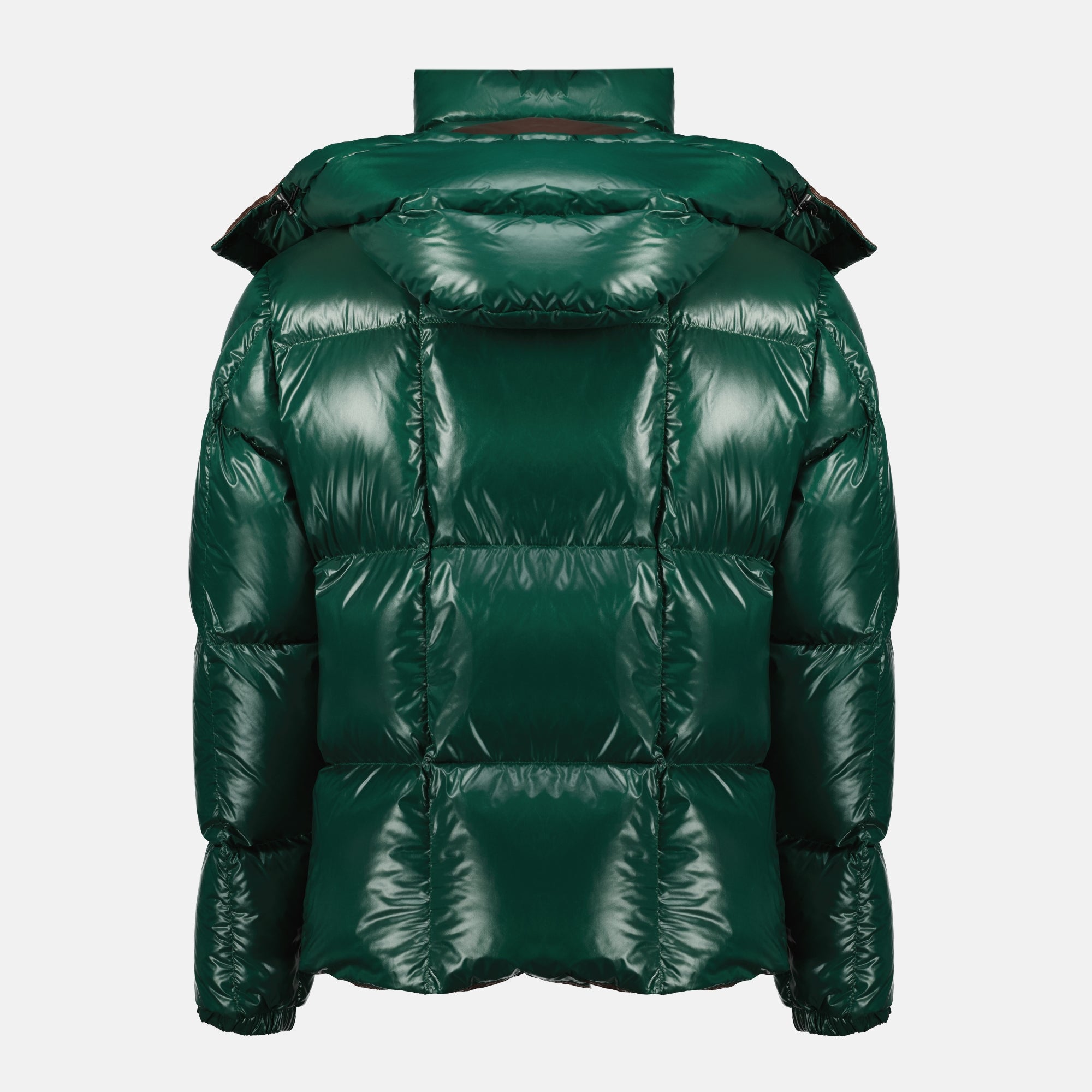 Image of the Parana khaki down jacket from the Moncler brand for Men - Autumn-Winter 2025 - Back View