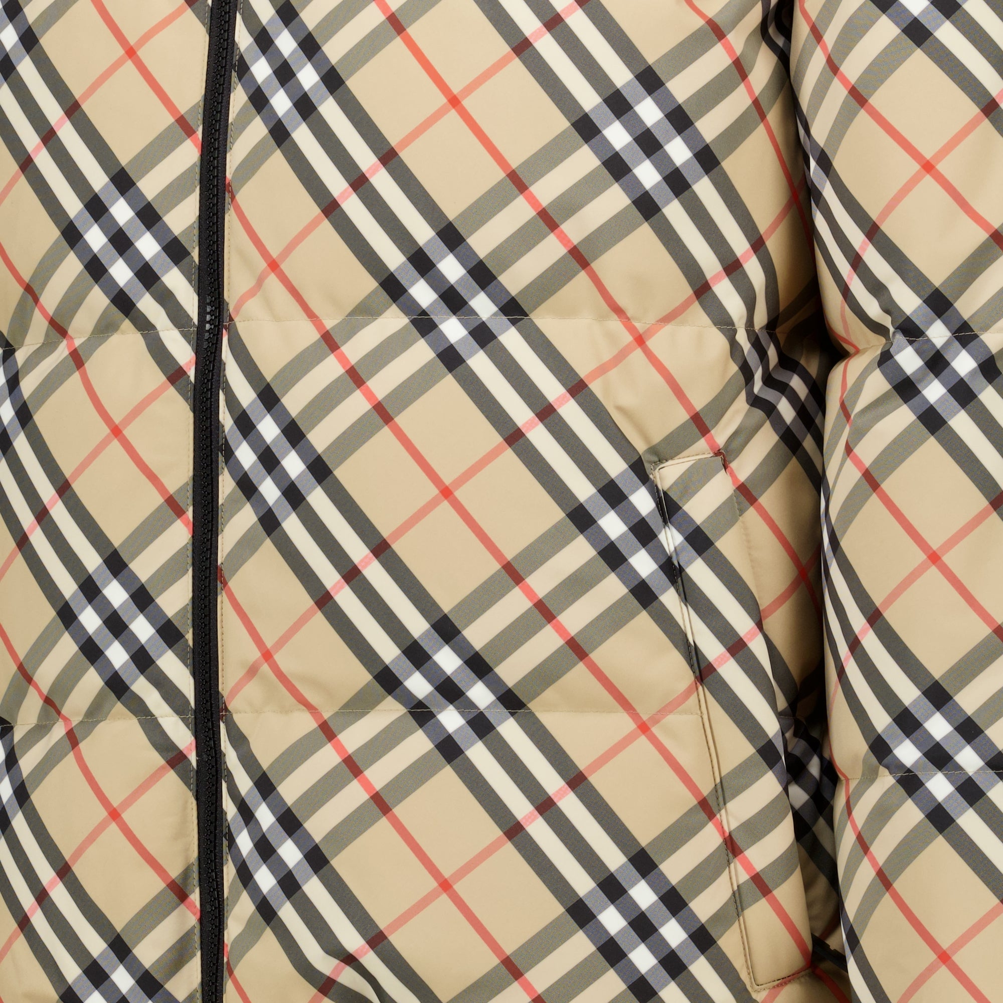 Vestes Check Plaid Reversible Down Jacket Burberry Beige Homme