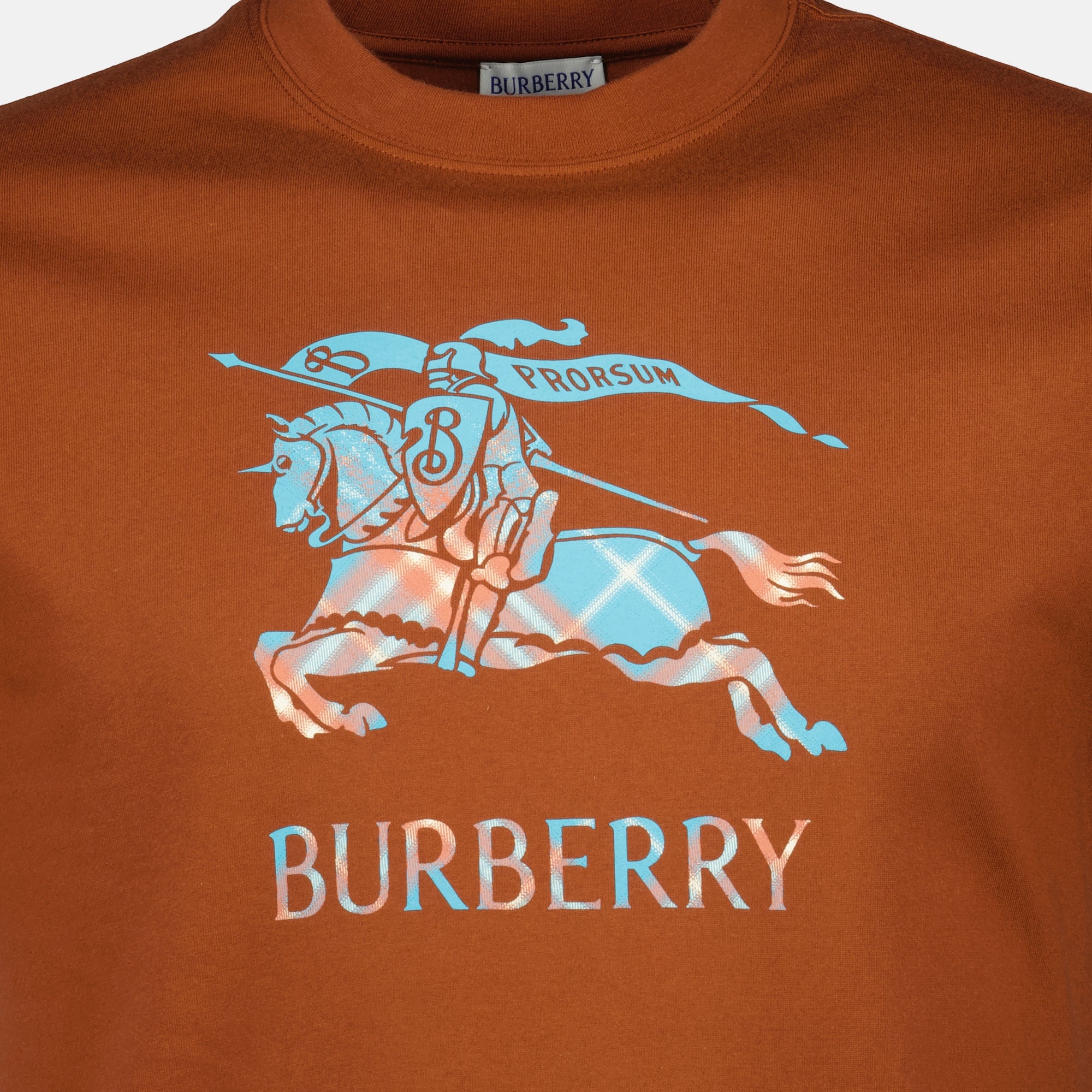 Bild des braunen EKD T-Shirts der Marke Burberry für Herren - Frühling-Sommer 2026 - Detailansicht_1
