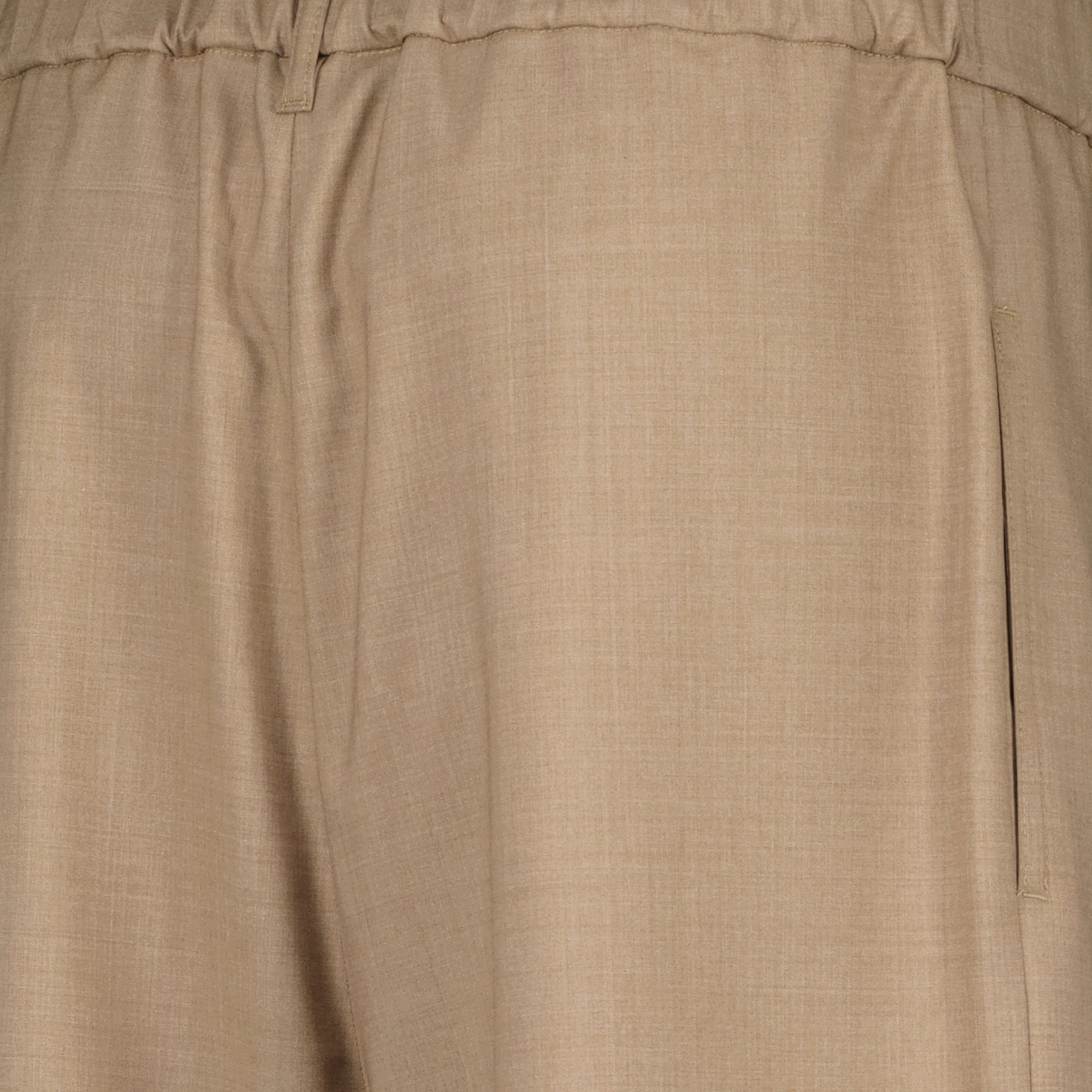 Bild der beigefarbenen Wollhose der Marke Max Mara für Damen - Frühjahr-Sommer 2026 - Detaillierte Ansicht_2