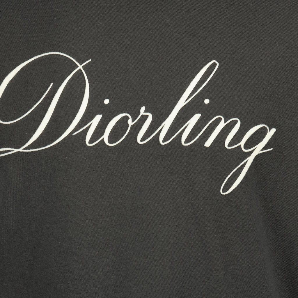 Immagine della T-shirt Diorling grigia del marchio Dior per Uomo - Stagione Autunno-Inverno 2025 - Vista Dettagliata_2