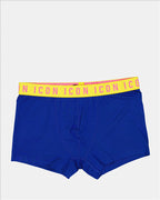 Sous-vêtements et homewear Boxer Icon Dsquared2 Bleu Homme