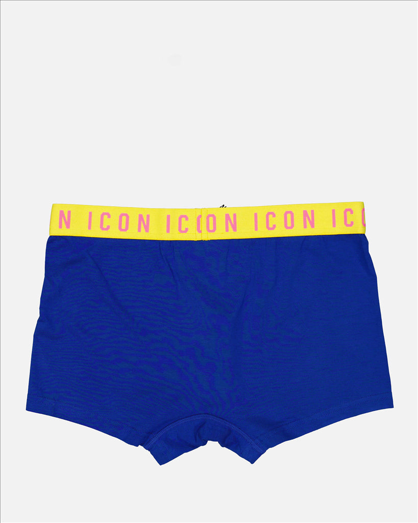 Sous-vêtements et homewear Boxer Icon Dsquared2 Bleu Homme