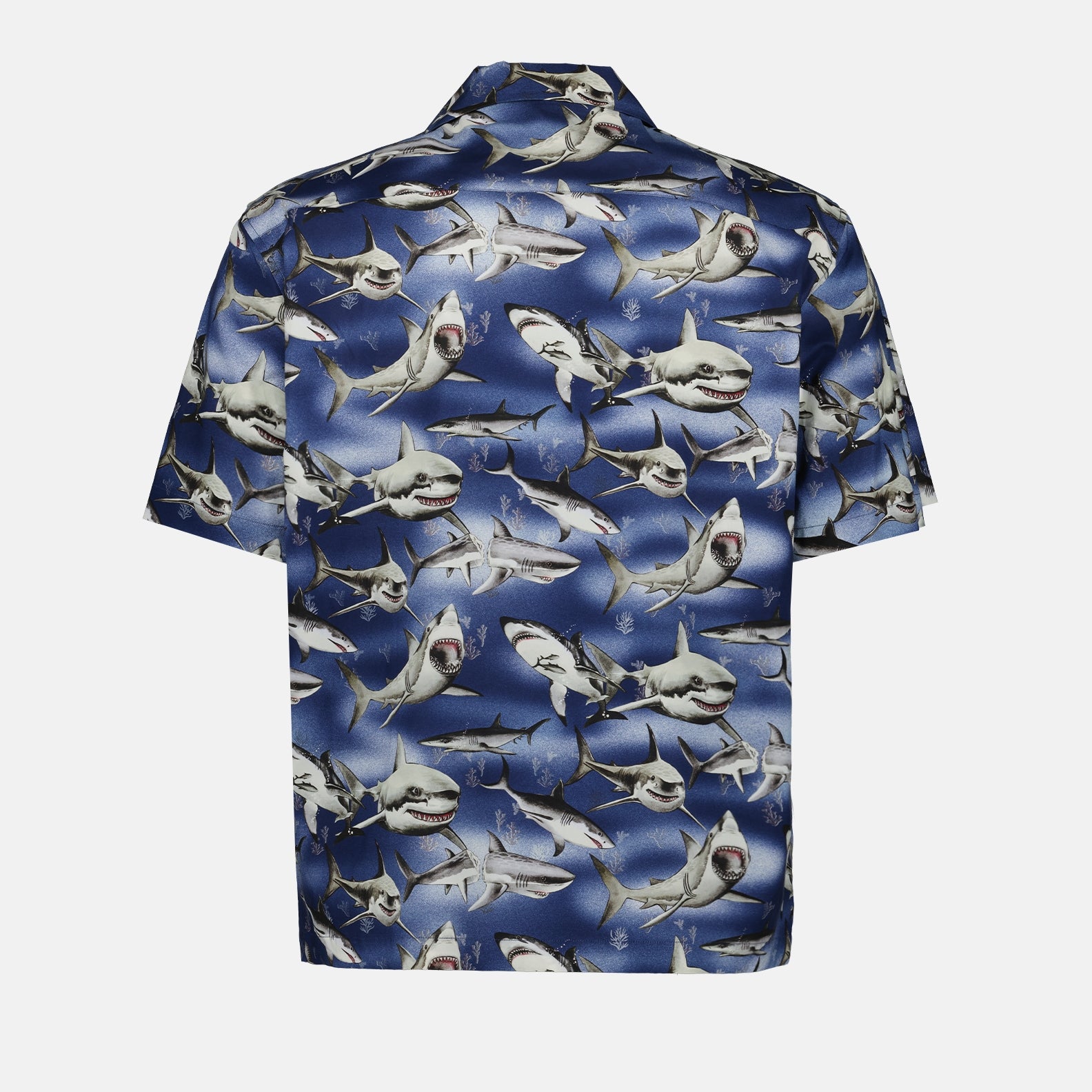 Camicie Chemise Requins Palm Angels Blu Homme