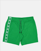 Beachwear DG logo swimsuit Dolce & Gabbana Green Man