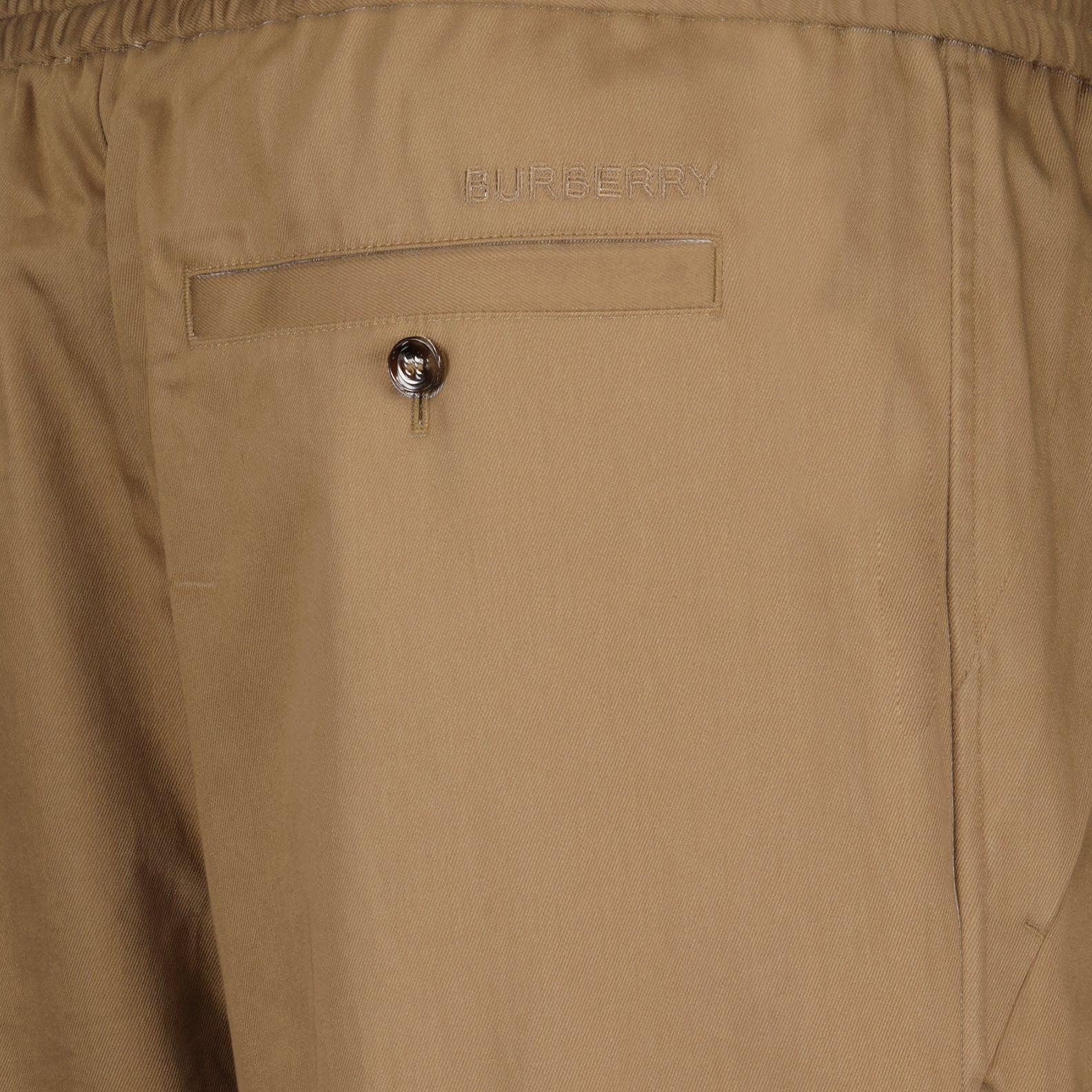 Pantalons Pantalon cargo Capleton Burberry Marron Homme