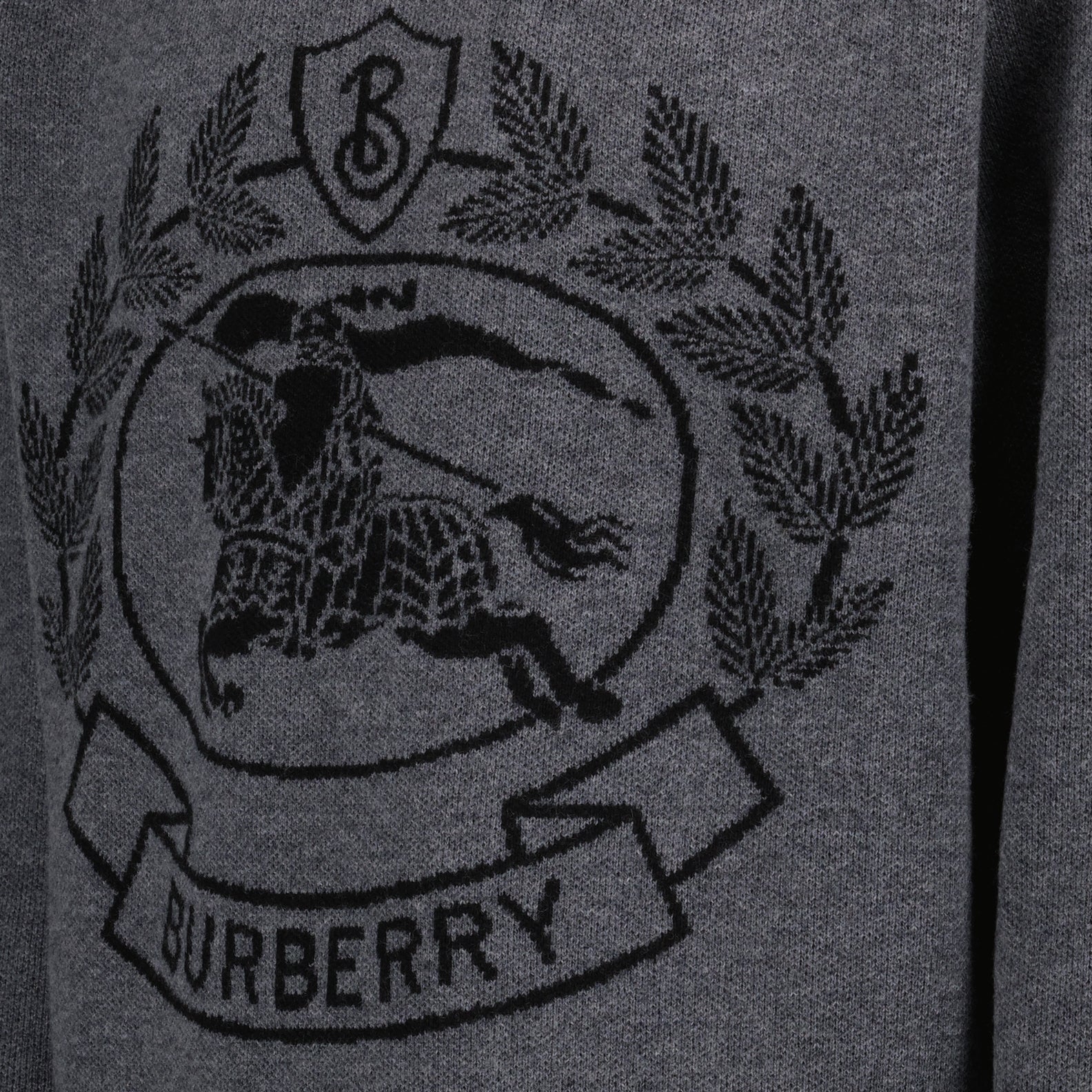 Sweatshirts Pull à capuche Burberry Grau Homme