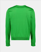 Maille Pull à imprimé roses Dolce & Gabbana Vert Homme