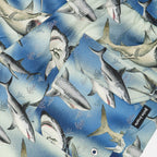 Beachwear Shark swimsuit Palm Angels Blue Man
