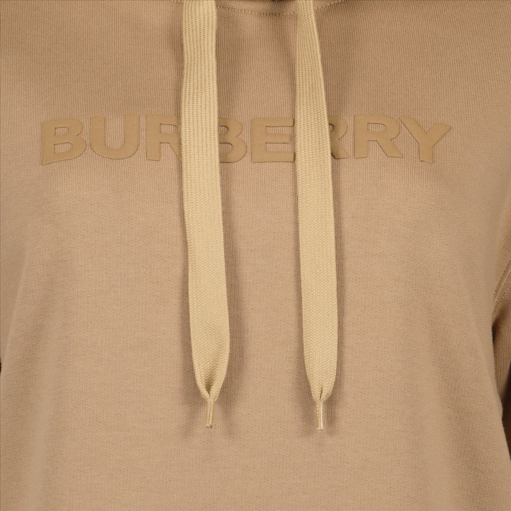 スウェットシャツ ロゴフーディ Burberry 茶色 男