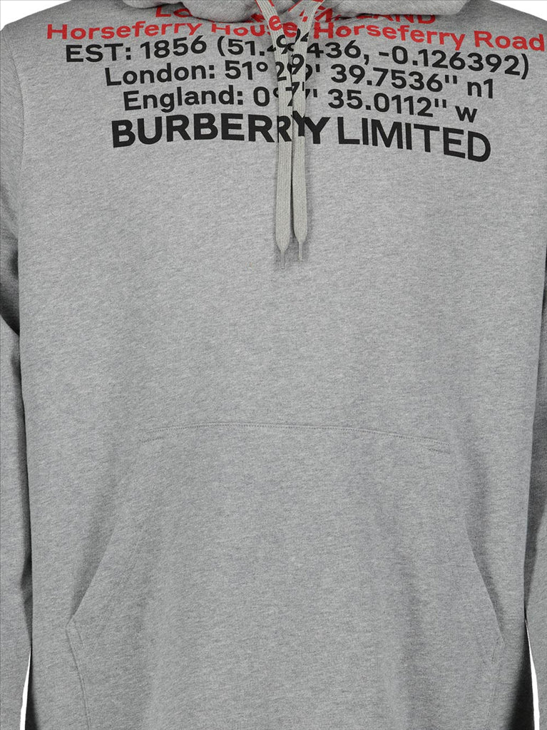 Sweatshirts Sweat à capuche à imprimé Burberry Gris Homme